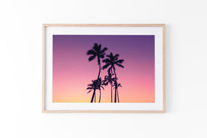 Neon Palms - Gold Coast, QLD - Australia