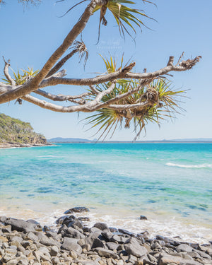 Noosa Life, Tea Tree Bay - QLD, Australia