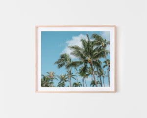 Tropical Beach Art Palm Trees