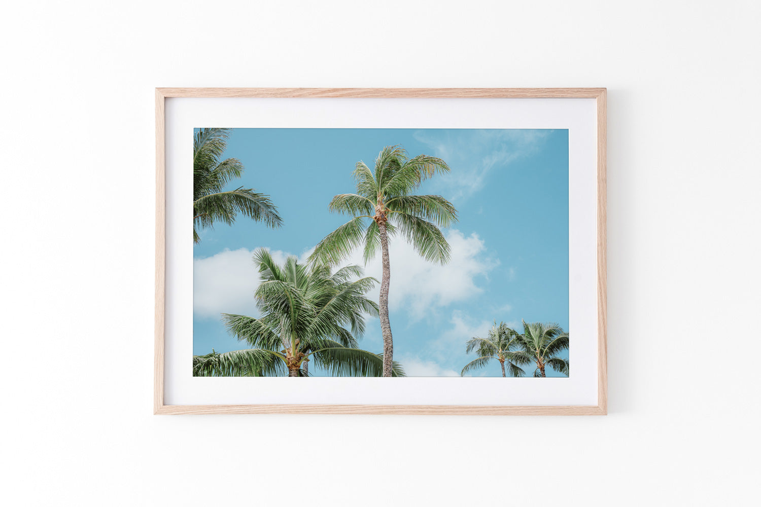 Tropical Palm Print - Turtle Bay, Hawaii