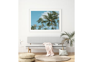 Palm Tree Print Hawaii White Frame