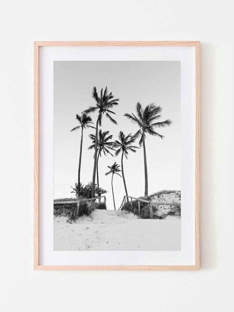 Coastal Palm Tree Print