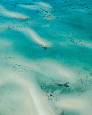 Sand Bank - Sands Of Moreton Bay