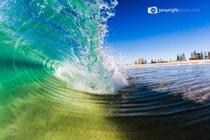 Sea shells - Gold Coast, Australia