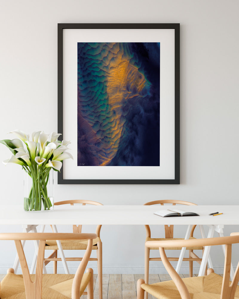 Seahorse | Limited Edition