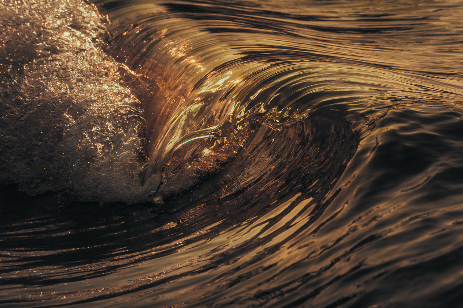 Shadow & Light | Ocean Art