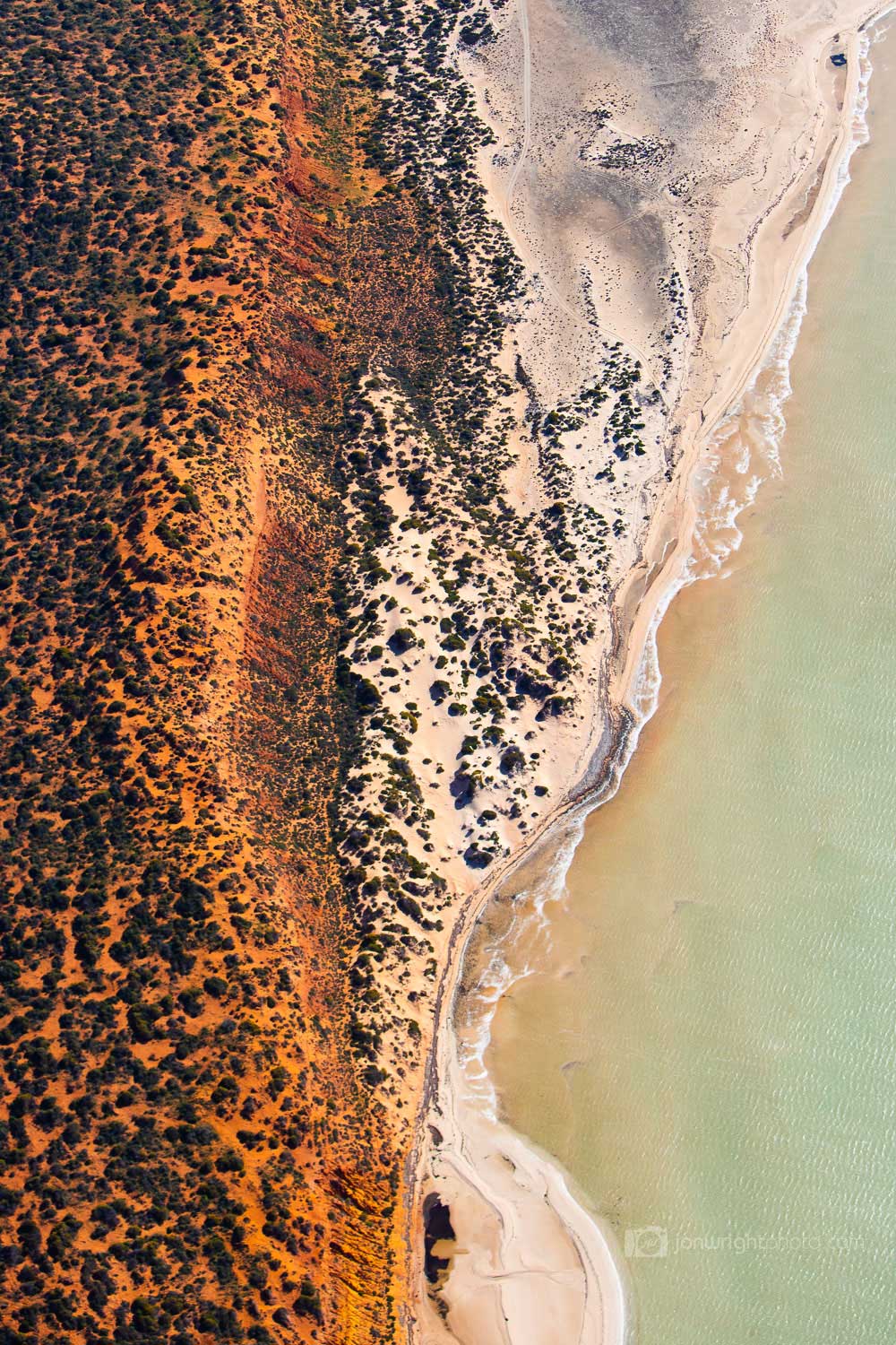 Shark Bay Coast - Shark Bay, Western Australia