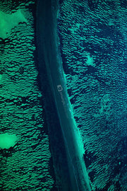 Blue Green Abstract photographic print of Wooramel Sea Grass 