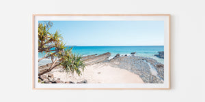 Snapper Rocks Pandanus Treet - Snapper Rocks, Gold Coast - Australia