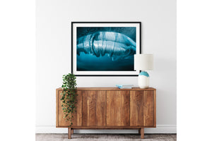 Underwater wave photography prints