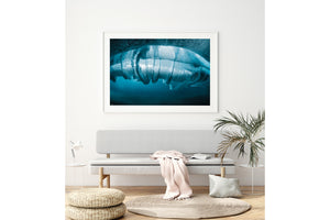 Solitude | Ocean Art Collection