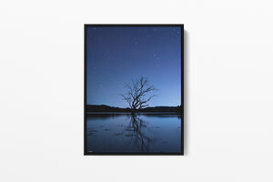 Float Frame Canvas Milky Way