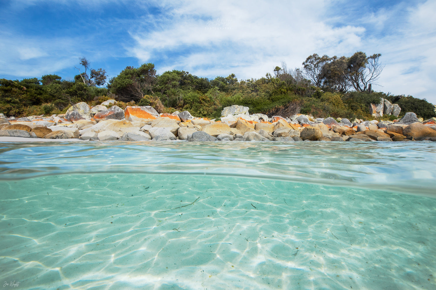 Tasman Paradise - Ocean Art Tasmania