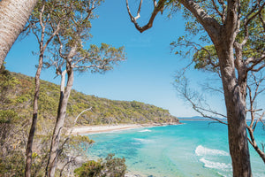 Tea Tree Bay Noosa Heads QLD