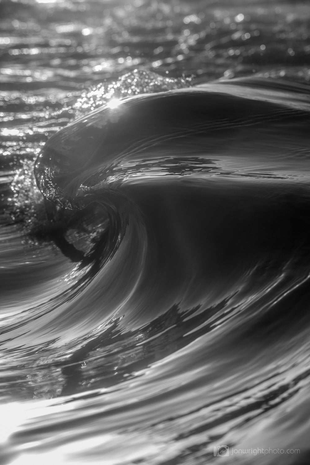 The Curl | Black & White Collection