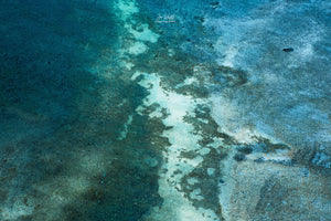 The Reef - Moreton Bay - QLD, Australia