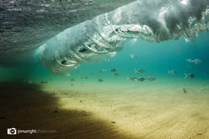 The Salt Kingdom - Gold Coast, QLD Australia