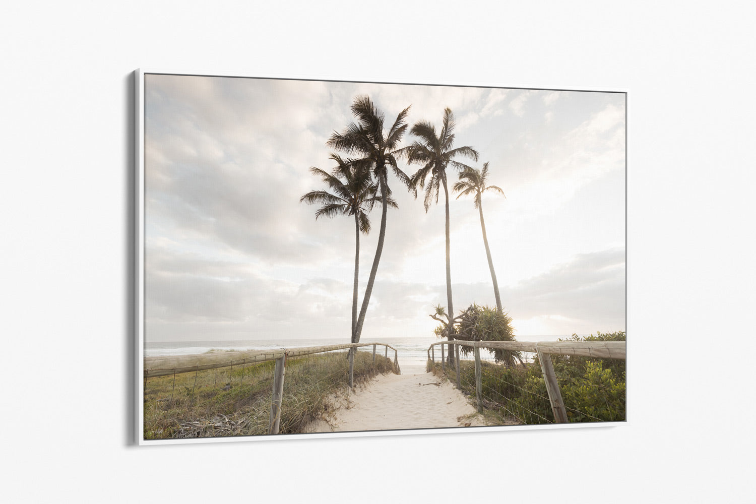 Palm Tree Canvas Art