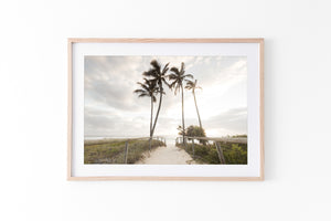 Palm Tree Entrance | Life's A Beach Collection