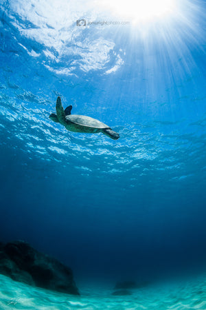 Underwater Home - Waimea Bay, Oahu. Hawaii