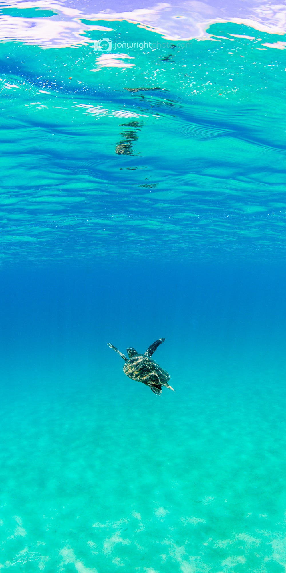 Follow - Oahu, Hawaii