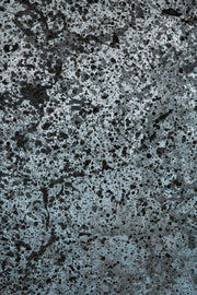 Visual Deception Camouflage Fine Art Print