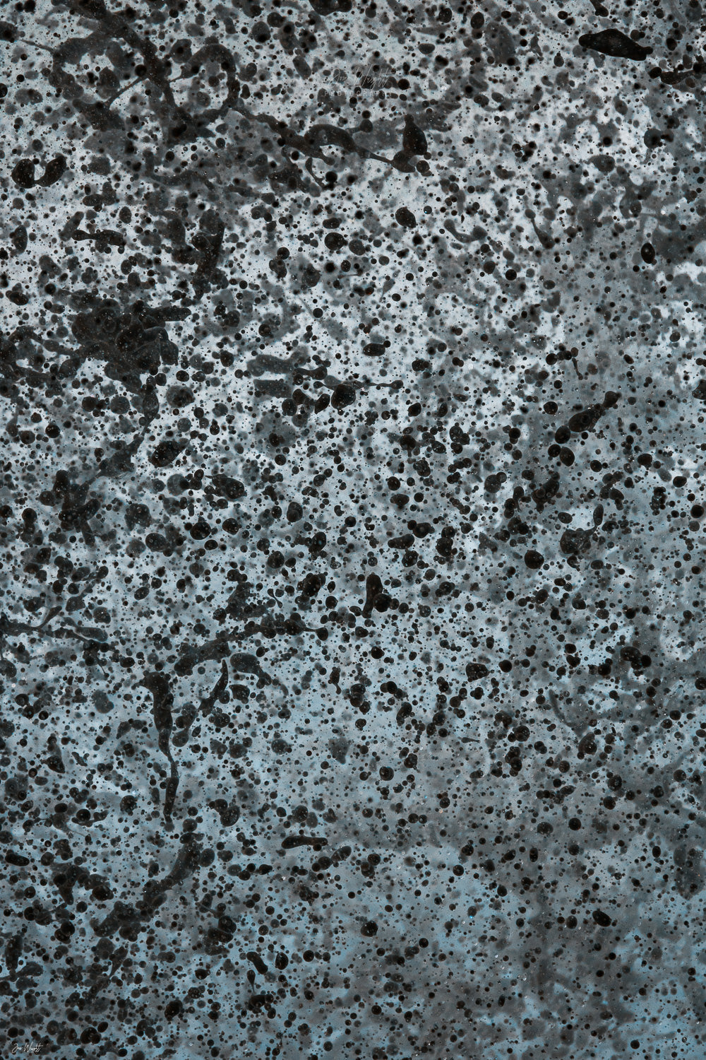 Visual Deception Camouflage Fine Art Print