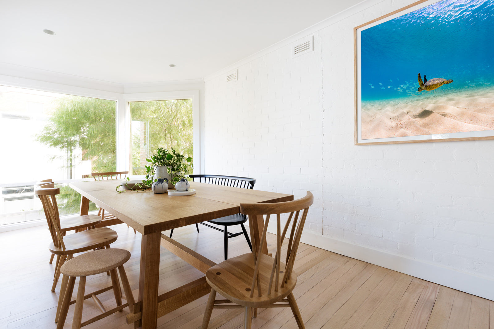 Hover Turtle - Waimea Bay, Oahu. Hawaii