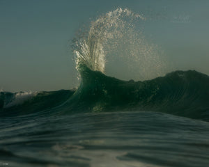 Fishtail | Ocean Art