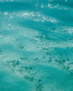 Abstract Beach Print blue water with turtles