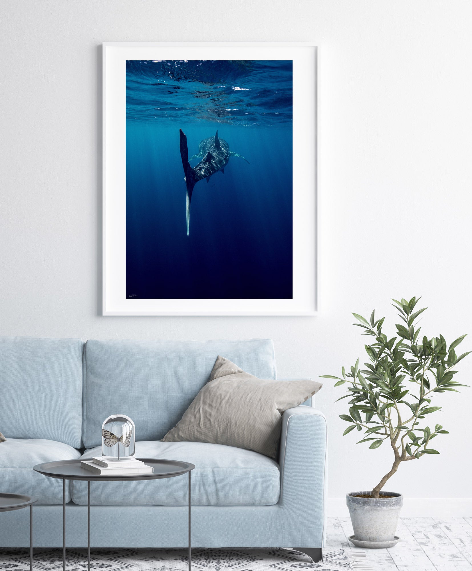 Blue Wildlife Art on wall in white frame