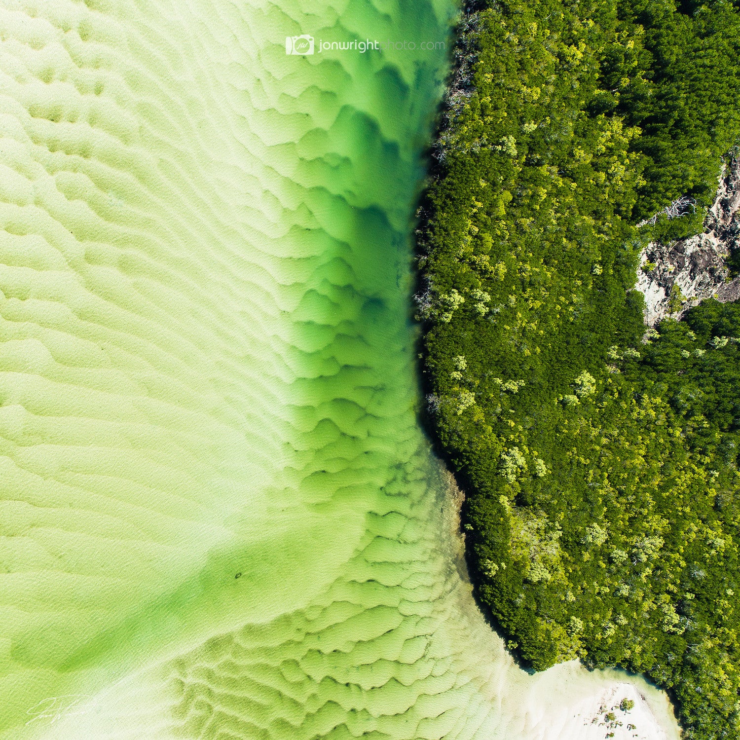 Forest vs ocean - QLD Australia