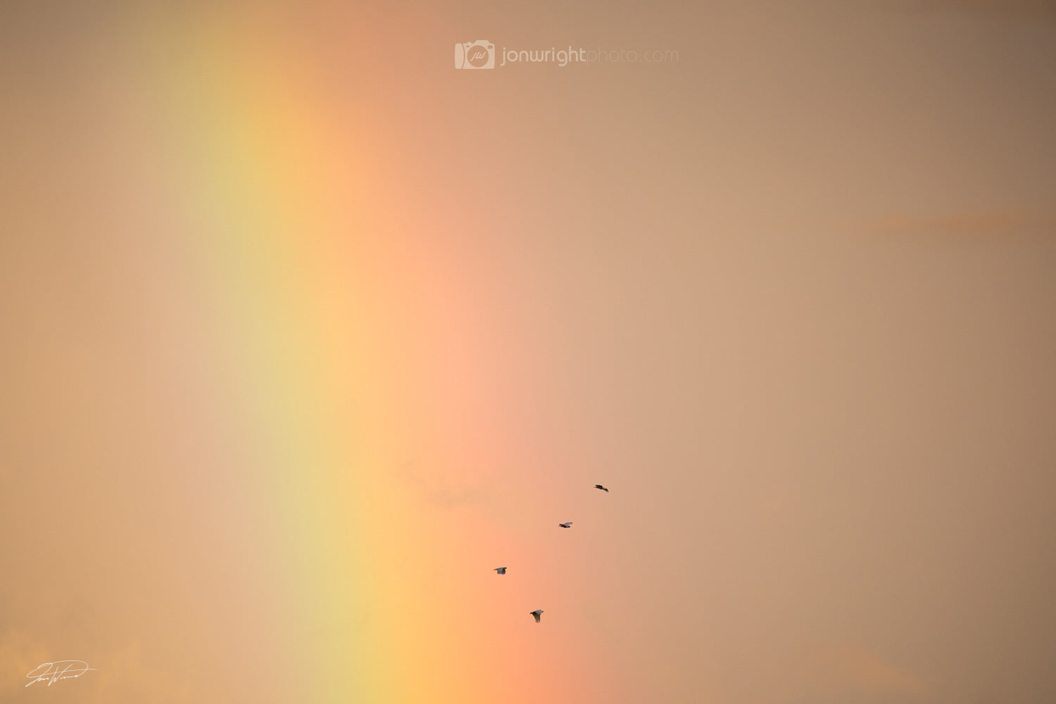 Rainbow flight - Cockatoo QLD, Australia