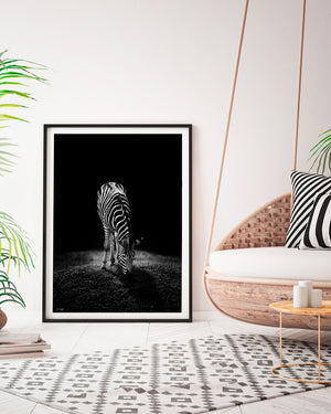 Black and white zebra print