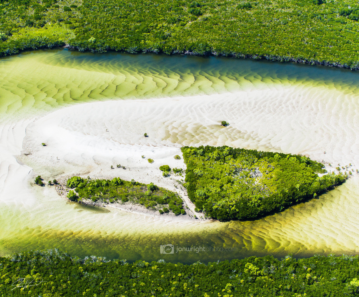 Snake skin - Whitehaven, QLD
