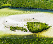 Snake skin - Whitehaven, QLD